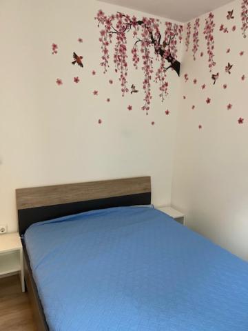 Appartamento Apartma Senicica *