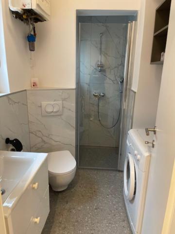 Appartamento Apartma Senicica